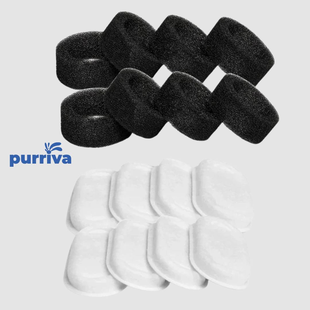 Purriva™ l Pet Water Fountain