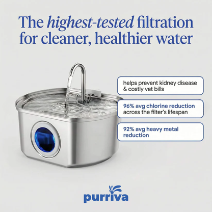 Purriva™ l Pet Water Fountain